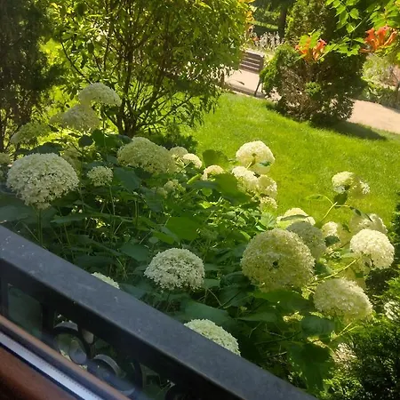 Destination Bulgaria 2000 Cascadas Private Summer Family Apartament Słoneczny Brzeg