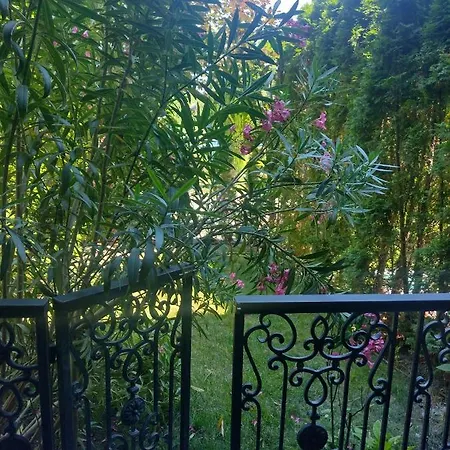 Destination Bulgaria 2000 Cascadas Private Summer Family Apartman Napospart