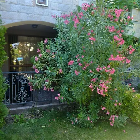 Apartman Destination Bulgaria 2000 Cascadas Private Summer Family *