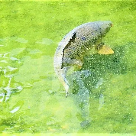 Apartament Destination Bulgaria 2000 Cascadas Private Summer Family *